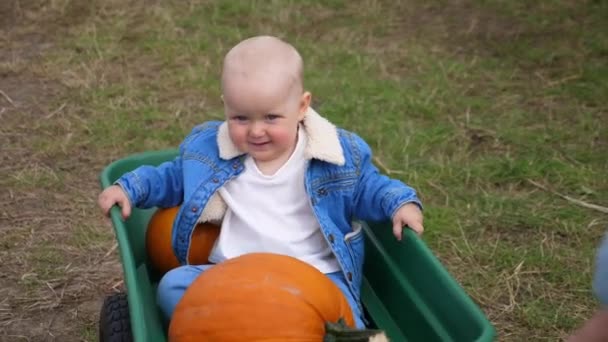 Söt vit baby njuter av sin resa med i en vagn vid pumpa patch — Stockvideo