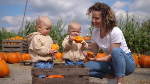 Familjedag i pumpapajen. Mor knäböjer bredvid sina tvillingar och visar dem pumpor — Stockvideo