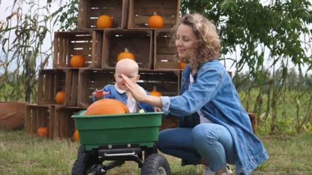 Giovane mamma che mostra come giocare con la zucca per il suo bambino seduto nel carro.. — Video Stock