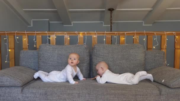 Funny Baby Twins Playing Together At Home. — Stock Video