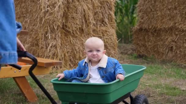 Bebé cabalgando dentro del vagón en el parche de calabaza — Vídeo de stock