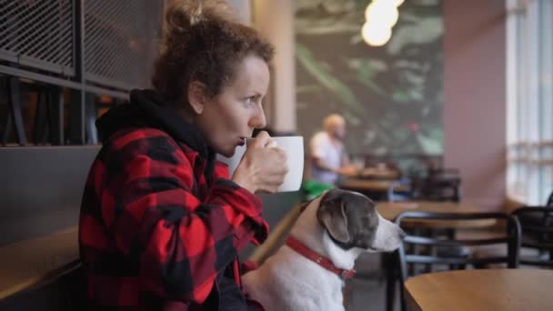 Zijaanzicht van jonge vrouw drinken van koffie en knuffelen en kussen van haar bruin en wit schattige hond in een koffiehuis — Stockvideo