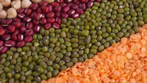 Mix Of Dry Legume Varieties: Mung Beans, Assorted Lentils, Red Beans. Vegan High Protein. Alimentos para uma dieta saudável. — Vídeo de Stock