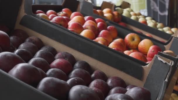 Seleção de muitos tipos de maçãs do mercado eco farm em loja livre de pacotes. Zero resíduos alimentos naturais comércio a retalho na época de Outono — Vídeo de Stock