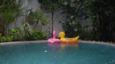Şişme pembe flamingo ve ördek yağmurun altında tek başlarına yüzerler.