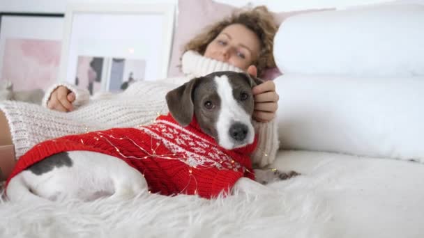 Trött hund och ägare koppla av i vitt sovrum efter nyår sent på kvällen fest. Lyckliga stunder tillsammans med familj, vänner och husdjur — Stockvideo