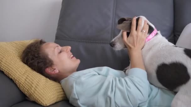 Mujer feliz jugando con orejas de perrito lindo en el sofá que se divierten juntos. Vida social con mascotas durante estrictas medidas de coronavirus de cuarentena — Vídeo de stock