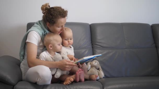 Ensino doméstico e educação para pais e filhos. Jovem mãe lê livro com fotos e completa exercícios com duas crianças pequenas no sofá — Vídeo de Stock