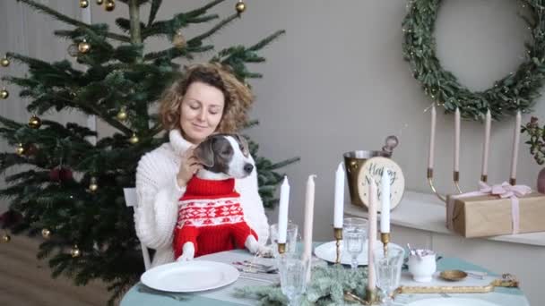 Празднование зимних праздников с семьей дома. Счастливая девушка и собака в вязаных свитерах сидят вместе за столом на четверых в красиво оформленной столовой — стоковое видео