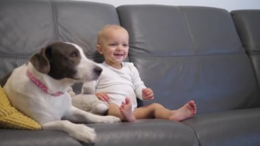 İki oyuncak yemek beklerken üzgün köpeğe ve onları yere atan mutlu kıza düşer. Küçük çocuklar en iyi arkadaşlarını severler.