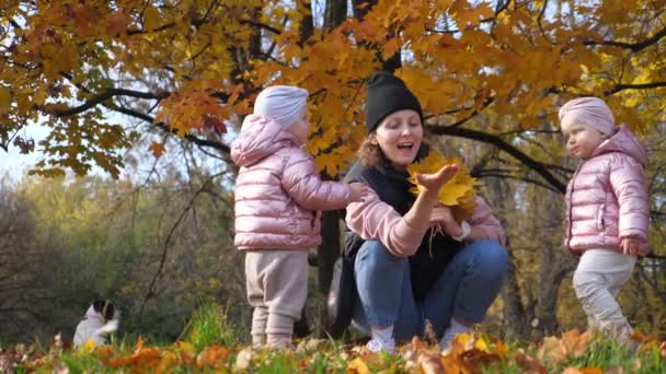 Sonbahar sezonunda aile aktiviteleri. Parkta iki çocuğu olan genç bir anne doğayla iç içe. — Stok video