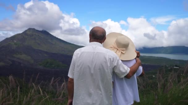 Bagsidebillede af det midaldrende par, der nyder udsigten over et ølandskab med bjerge og hav. Romantik efter pension. – Stock-video