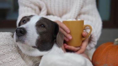 Kadın ayaklarını sıcak çoraplar içinde köpek ve balkabağı eşliğinde bir kupa latte ile kapat. En iyi arkadaşın olarak evcil hayvanınla eğlenmene bak.