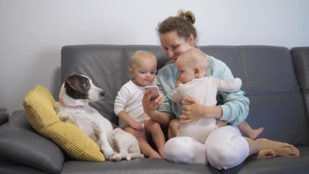 Glad familj sitter tillsammans i soffan med hund. Ung mor med baby tvillingar Använda smartphone. — Stockvideo