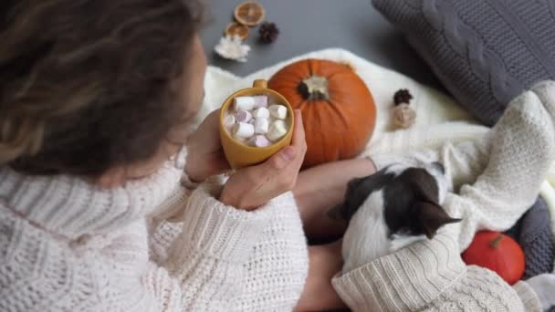 Gezellige herfstavond. Meisje dat warme chocolademelk drinkt met marshmallows met haar puppy in bijpassende truien in een kamer versierd met pompoenen en gedroogd fruit — Stockvideo