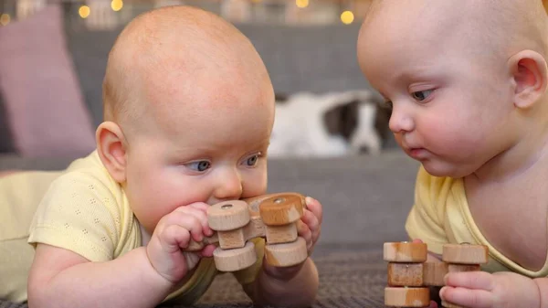 Bebé gemelos jugando con plástico libre de madera Eco juguetes en casa —  Fotos de Stock
