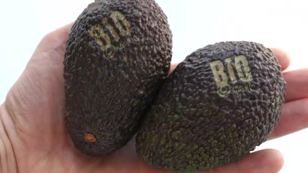 Hand houden van verse gezonde Bio Avocado. Bialystok, Polen, 27 maart 2020. — Stockvideo