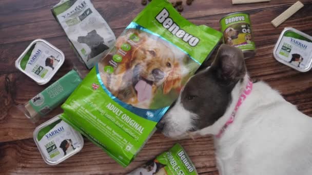 Cibo secco vegano sano per cani. Benevo Dry Kibble. — Video Stock