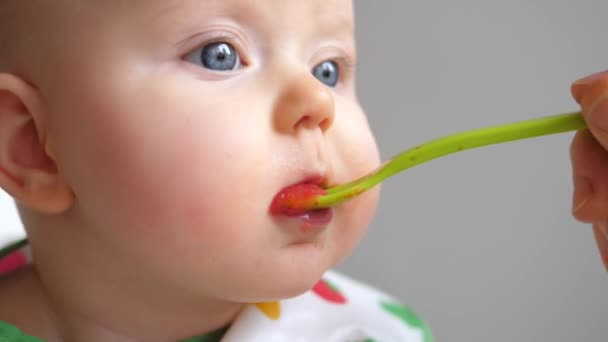 Bebé de seis meses comiendo comida sólida. Primer plano.. — Vídeos de Stock