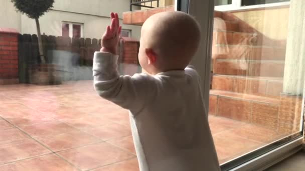 Baby Girl patrząc przez okno w kwarantannie podczas pandemii koronawirusa. — Wideo stockowe