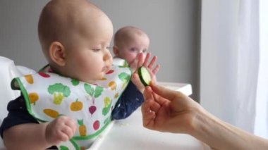 Mother Giving Her Baby Twins A Cucumber. Healthy Fresh Food For Babies. 