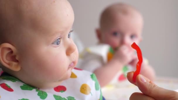 Anne, Bebek İkizlerine Kırmızı Biber Veriyor. Sağlıklı Bebek Beslenmesi İçin Sebze. — Stok video
