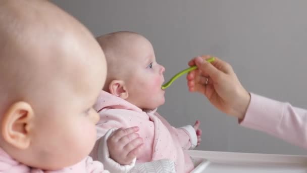 Feeding Cute Baby Girls With Spoon. Twins Feeding. — Vídeo de Stock