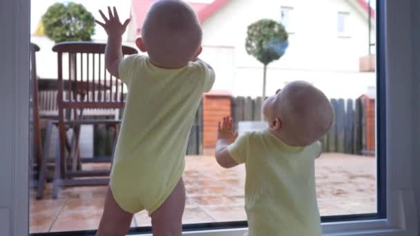 Twin Babies nära fönstret i karantän under Coronavirus pandemi. — Stockvideo