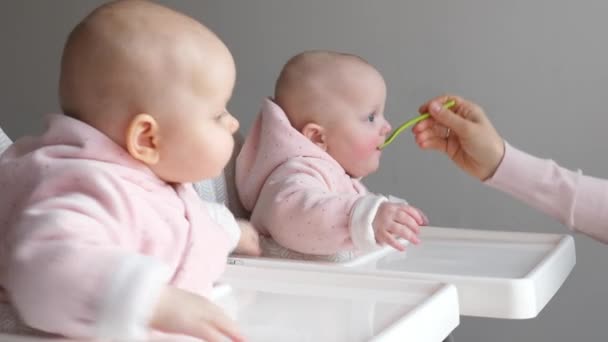 Dois adoráveis gêmeos de bebê sentados em cadeiras altas e comendo alimentos. — Vídeo de Stock