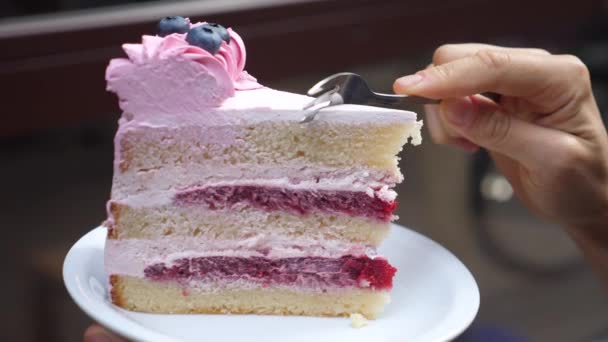 Здорові смачні веганські десерти. крупним планом виделка, що розбиває шматочок шаруватого веганського торта з вершками та варенням, прикрашеним чорницею . — стокове відео