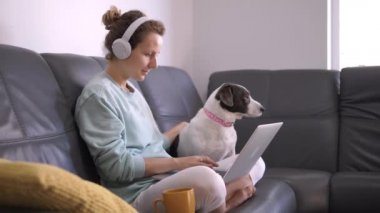 Koronavirüs salgını sırasında uzaktan kumanda. İş kadını evde dizüstü bilgisayarla çalışıyor. Kanepe konforu ve köpek arkadaşlığının keyfini çıkarıyor.