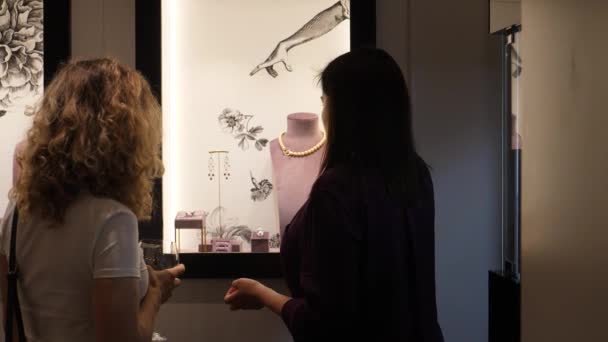 Back shot van de verkoop assistent geven van een advies aan jonge vrouw over sieraden kopen bij luxe sieraden boetiek. Luxe winkelen. Warschau- Polen - 2020 — Stockvideo