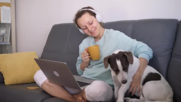 Vista lateral de la mujer autónoma con perro aburrido durante el bloqueo en el sofá con auriculares conectados a la computadora portátil. Concepto de autoaislamiento Covid-19. — Vídeos de Stock