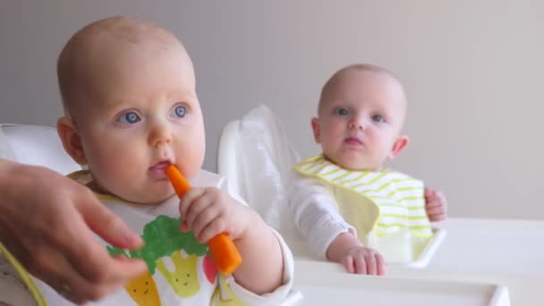 Mutter schenkt ihren kleinen Zwillingen Bio-Karotten Gesunde Ernährung für Babys. — Stockvideo