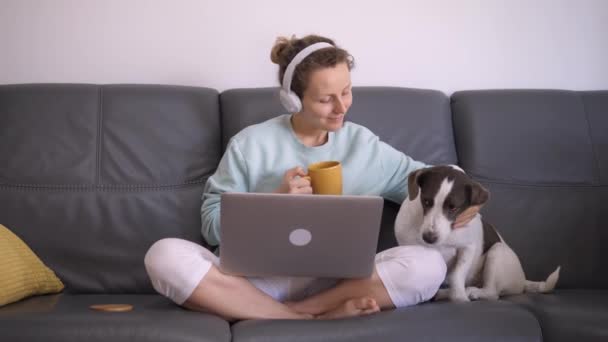 Vista frontal de la mujer feliz acariciando perro encantador durante su estancia en casa con el ordenador y el café. Concepto de restricciones de Coronavirus. — Vídeo de stock