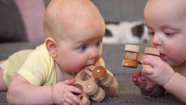 Δίδυμα μωρών που παίζουν με τα πλαστικά-ελεύθερα ξύλινα οικολογικά παιχνίδια στο σπίτι — Αρχείο Βίντεο