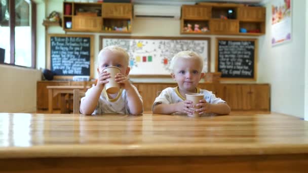 双子の姉妹は、保育園で休憩中に持続可能なカップから飲む — ストック動画