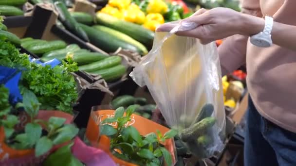 Primo piano di mani che imballano cetrioli asciugati al sacchetto di plastica. Shopping di prodotti freschi in un mercato agricolo — Video Stock