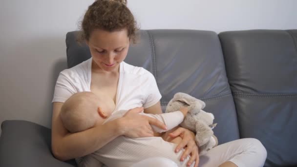 Junge kaukasische Mutter stillt ihr Baby auf grauem Sofa. Baby hält Stoffhasen in der Hand — Stockvideo