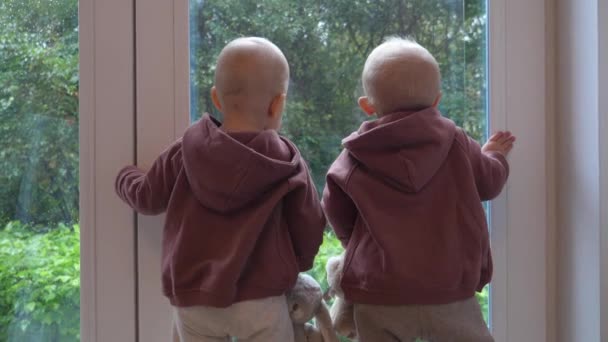 Вид ззаду на дітей-близнюків, які дивляться через вікно. Обидва в одязі тримають фаршированих кроликів — стокове відео