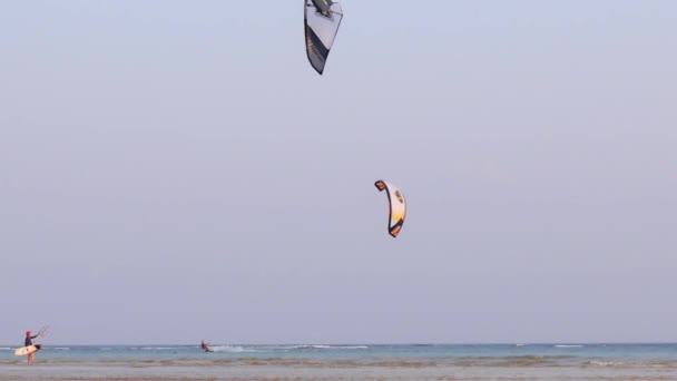 Kite Surfing na moři proti modré obloze — Stock video