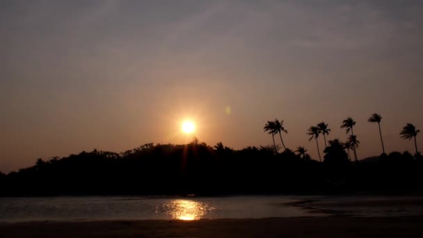 Západ slunce na pláži s palmami Tropical Island. — Stock video