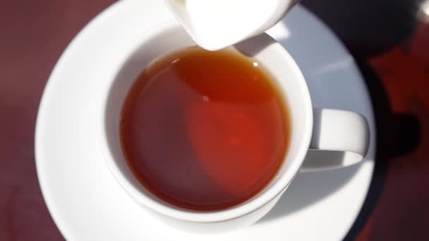 Close up van gieten melk in een Cup of Tea. Slow Motion. — Stockvideo