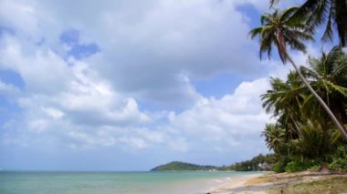 Hindistan cevizi palmiye ağaçları, mavi gökyüzü ve denizin ile tropikal plaj