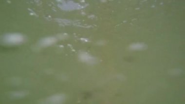 Denizde dalış tatil günlerinde genç neşeli adam. Ağır çekim.