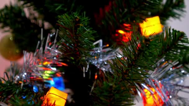 Hand Hanging Decorative Toy Ball on Christmas Tree Branch. — Stock Video