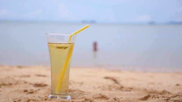 Relaxing on Vacation at Tropical Beach — Stock Video