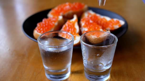 Vodka and a Sandwich with Red Caviar — Stock Video