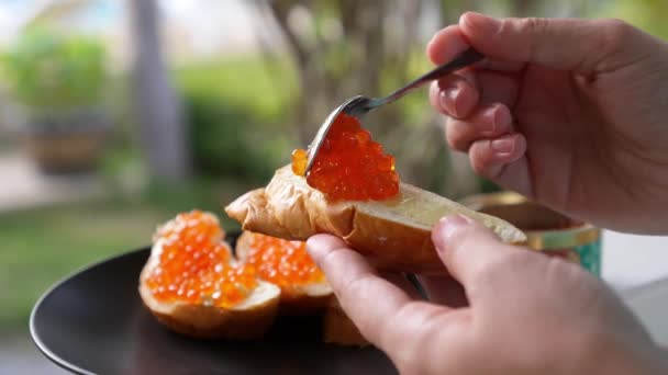Rød kaviar på brødskive – stockvideo