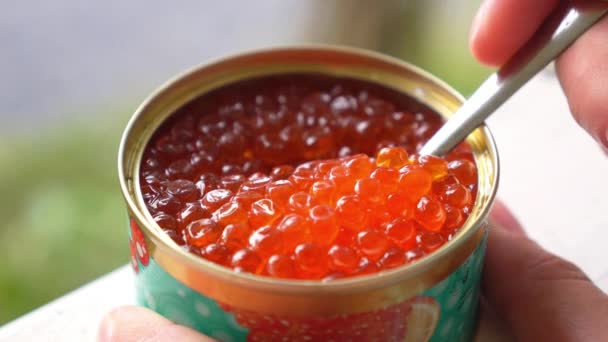 Caviar de salmón enlatado con primer plano de cuchara. Moción lenta . — Vídeos de Stock